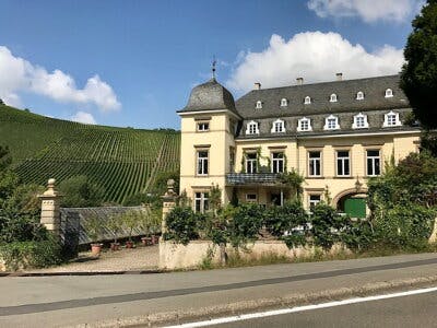 エゴン ミュラー シャルツホーフベルガー リースリング