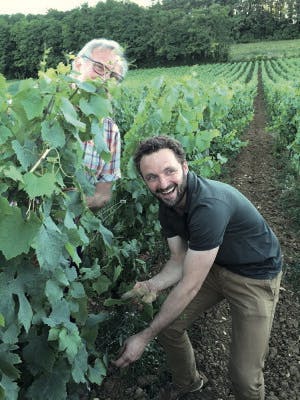 リケール コルトン グラン クリュ 2018｜House of Otium